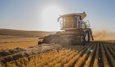 Lire la suite à propos de l’article Concours des lycées agricoles 2025 – inscription en ligne jusqu’au 23 octobre 2024​